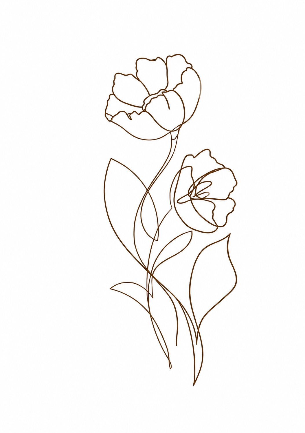 Mostafa & Rokya Sketch